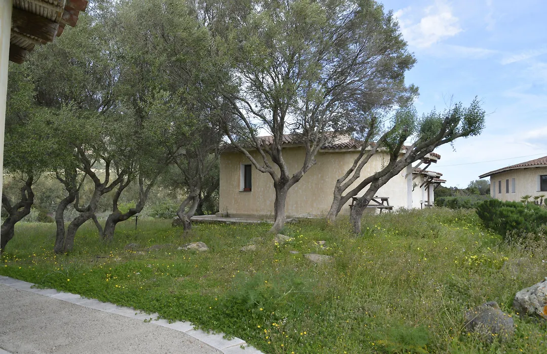 Agriturismo Rubinu-1